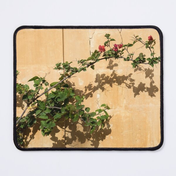 Item preview, Of Light and Shadow - Bougainvillea on a Timeworn Plaster Wall designed and sold by Georgia Mizuleva.
