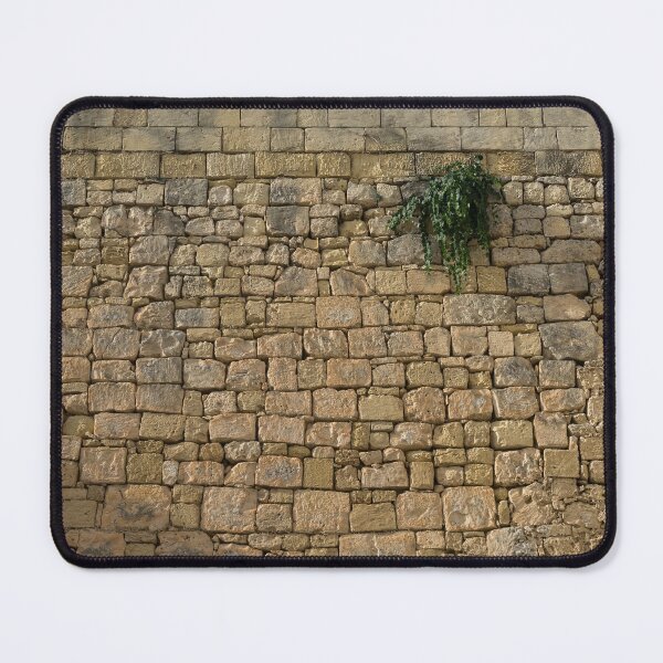 Item preview, Life on Bare Rock - Up High on the Fortification Wall designed and sold by Georgia Mizuleva.