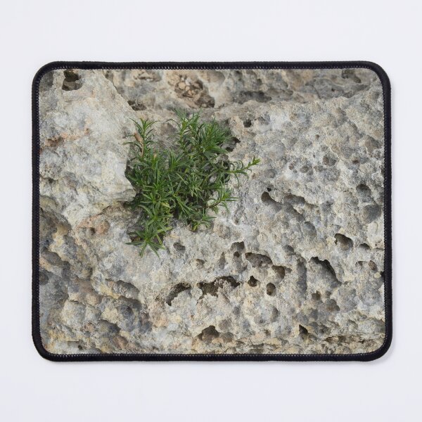 Item preview, Life on Bare Rock - Pockmarked Limestone and Thyme  designed and sold by Georgia Mizuleva.