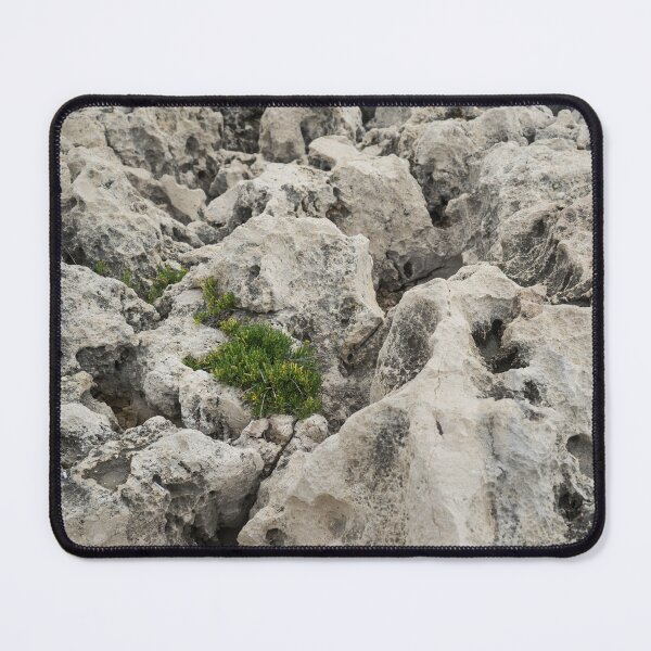 Item preview, Life on Bare Rock - Weathered Limestone and Little Green Survivors designed and sold by Georgia Mizuleva.