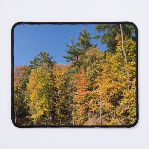 Item preview, Autumn on the Riverbank - the Changing Forest designed and sold by Georgia Mizuleva.