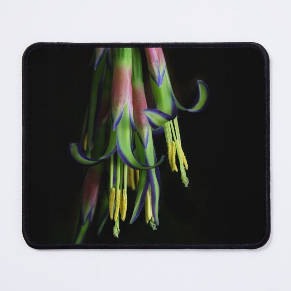 Item preview, Hidden Treasure designed and sold by Siene Browne.