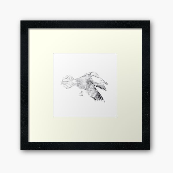 Seagull in flight Framed Art Print