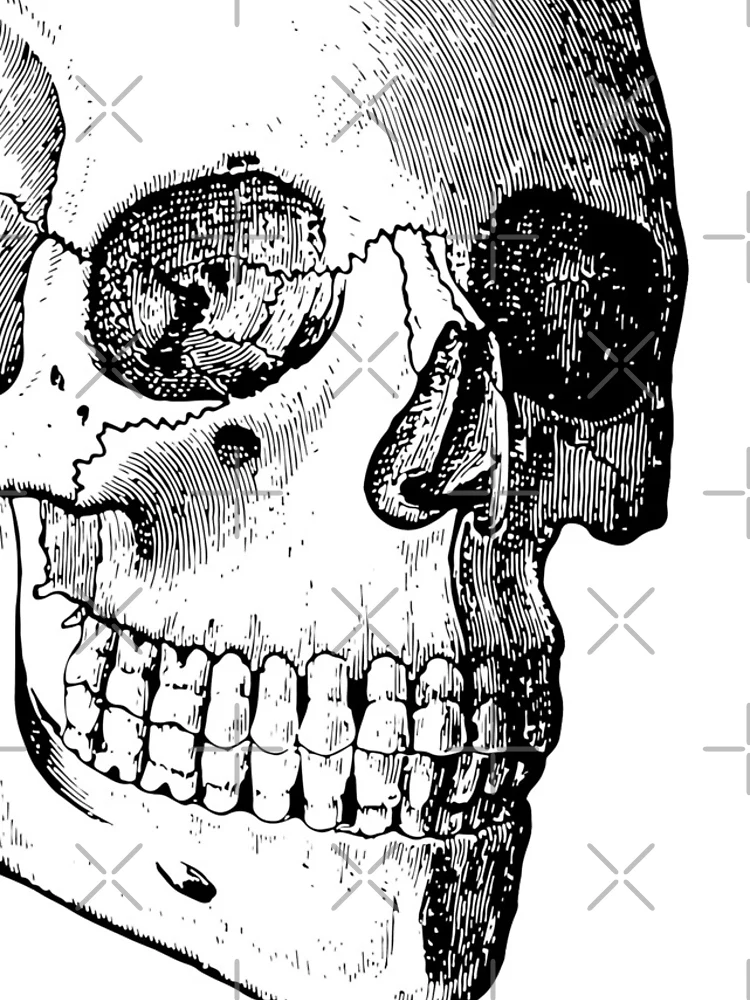 Thumbnail 4 of 4, iPhone Case, Skull [Roufxis-Rb] designed and sold by RoufXis.