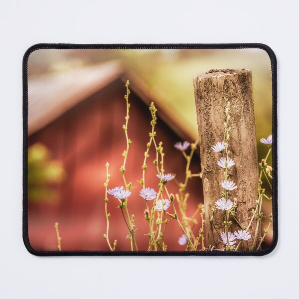 Item preview, Chicory Dicory Dock designed and sold by Jim Love.