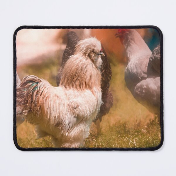 Item preview, Barnyard Beatnik designed and sold by Jim Love.