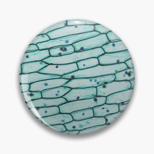 Item preview, Onion epidermis w.m. designed and sold by CellsOfWorld.