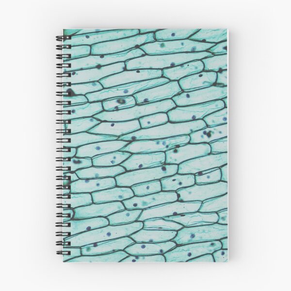 Item preview, Onion epidermis w.m. designed and sold by CellsOfWorld.