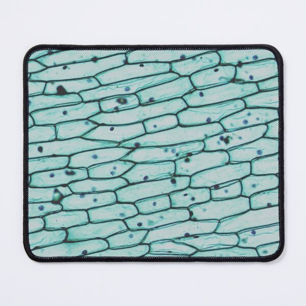 Item preview, Onion epidermis w.m. designed and sold by CellsOfWorld.