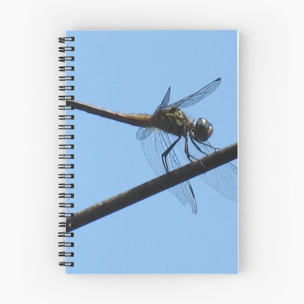 Item preview, Blue dragonfly designed and sold by tomylees.