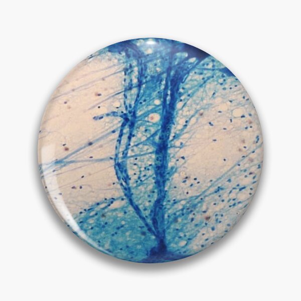 Item preview, Motor Neurous designed and sold by CellsOfWorld.