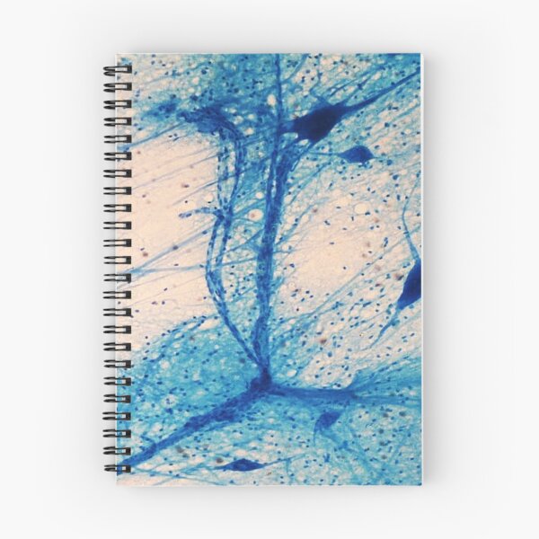 Item preview, Motor Neurous designed and sold by CellsOfWorld.