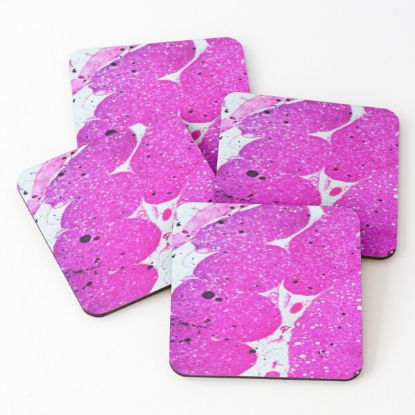 Item preview, Rabbit Spinal Cord, c.s. designed and sold by CellsOfWorld.