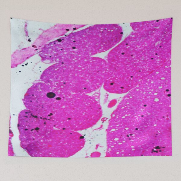 Item preview, Rabbit Spinal Cord, c.s. designed and sold by CellsOfWorld.