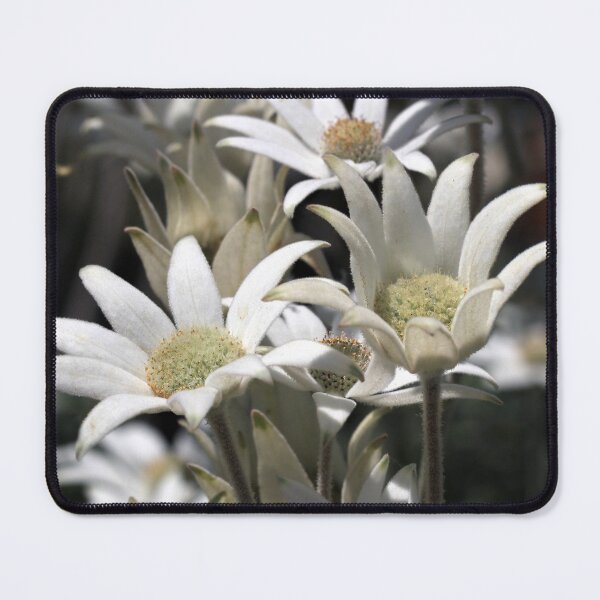 Item preview, Flock of Flannel Flowers designed and sold by Siene Browne.