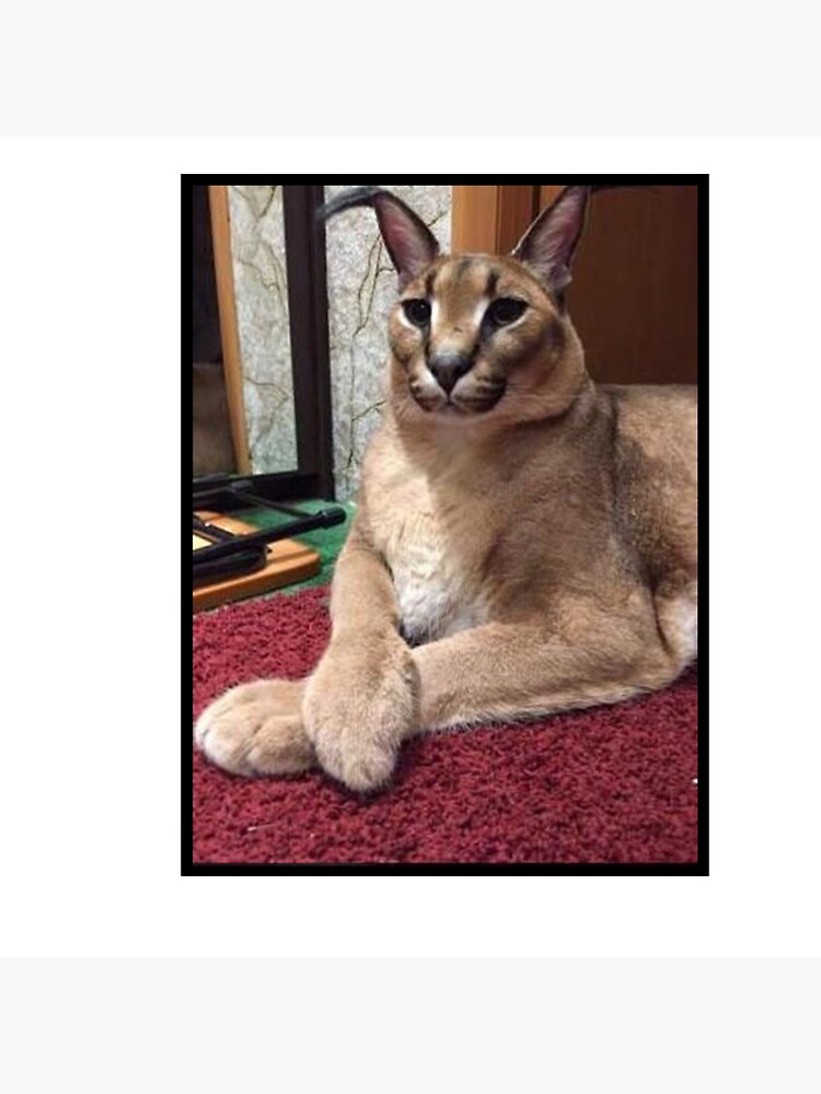 Big Floppa Funny Caracal Big Cat Meme Art Board Print for Sale by  dinnashop