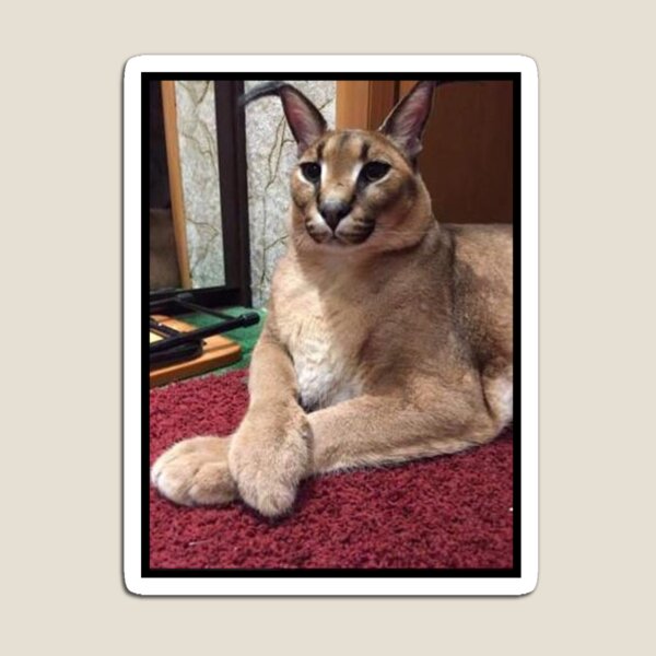 Big Floppa - Caracal meme cat / fat floppa / cursed floppa Greeting Card  for Sale by romanticists