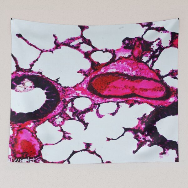 Item preview, Lungs Sec. designed and sold by CellsOfWorld.