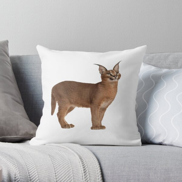 Meme World Big Floppa Meme Cute Caracal Cat Throw Pillow, 16x16, Multicolor