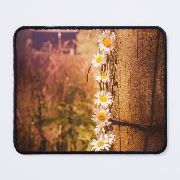 Item preview, Linked designed and sold by Jim Love.