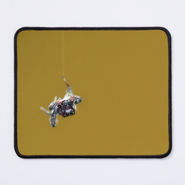 Item preview, Along Came a Spider ... designed and sold by Siene Browne.