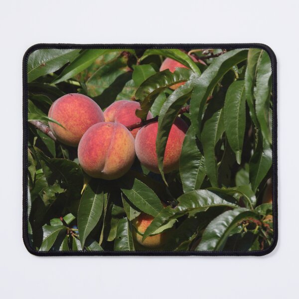 Item preview, Vineyard Peaches designed and sold by Mythos57.