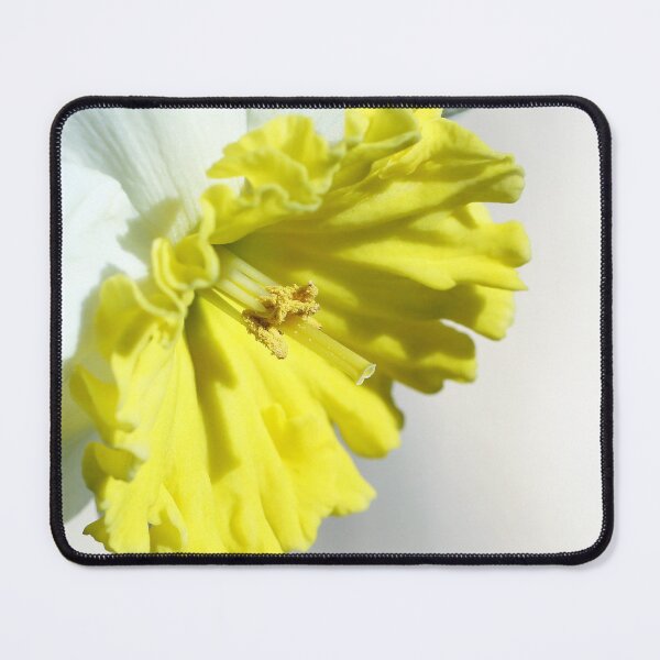 Item preview, The Daffodil designed and sold by Siene Browne.