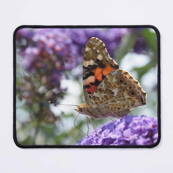 Item preview, Vanessa Cardui designed and sold by Mythos57.