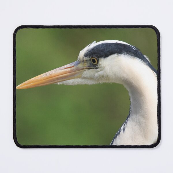 Item preview, Ardea cinerea designed and sold by Mythos57.