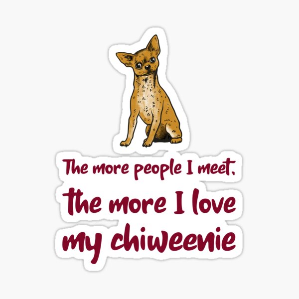I Love My Chiweenie