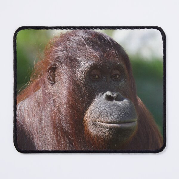 Item preview, Pongo pygmaeus designed and sold by Mythos57.