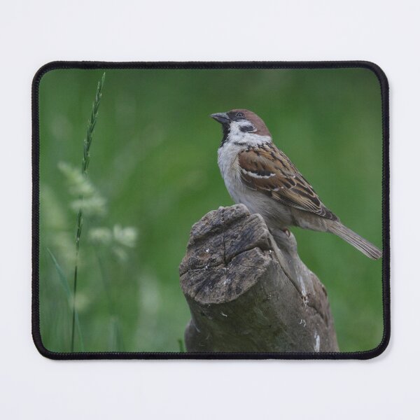 Item preview, Passer montanus designed and sold by Mythos57.