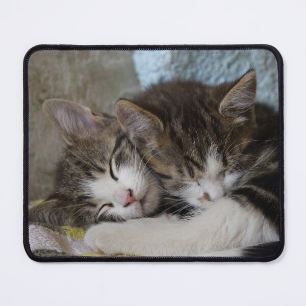 Item preview, Sleeping Kittens designed and sold by Mythos57.
