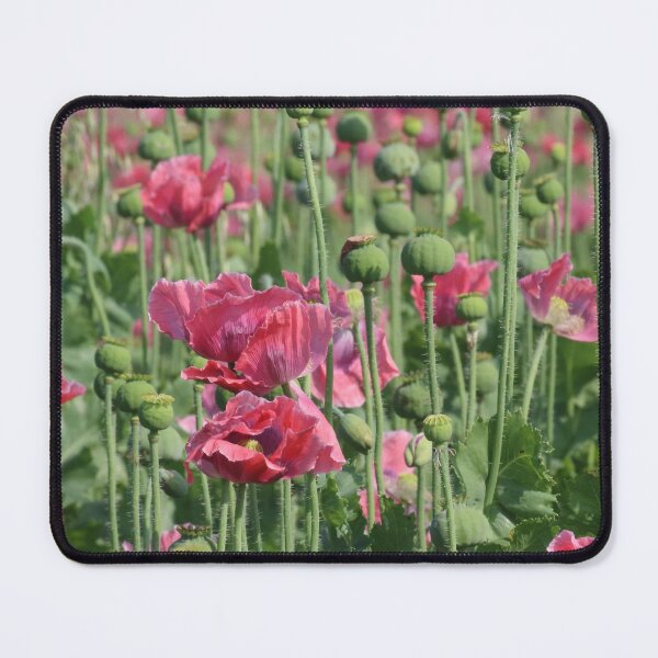 Item preview, Pink Poppies Field designed and sold by Mythos57.