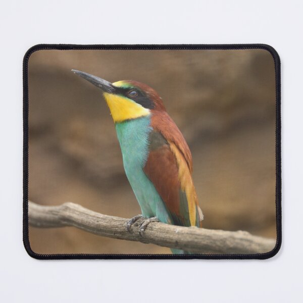 Item preview, Merops apiaster designed and sold by Mythos57.