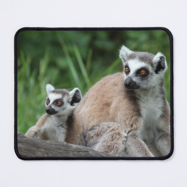 Item preview, Lemur catta designed and sold by Mythos57.