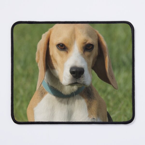 Item preview, Young Beagle designed and sold by Mythos57.