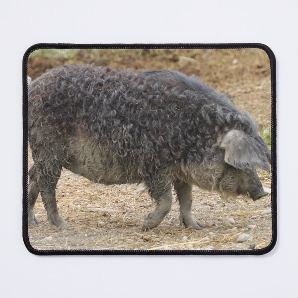 Item preview, Mangalica Pig designed and sold by Mythos57.