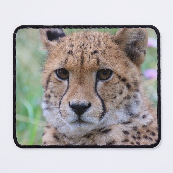 Item preview, Acinonyx jubatus designed and sold by Mythos57.