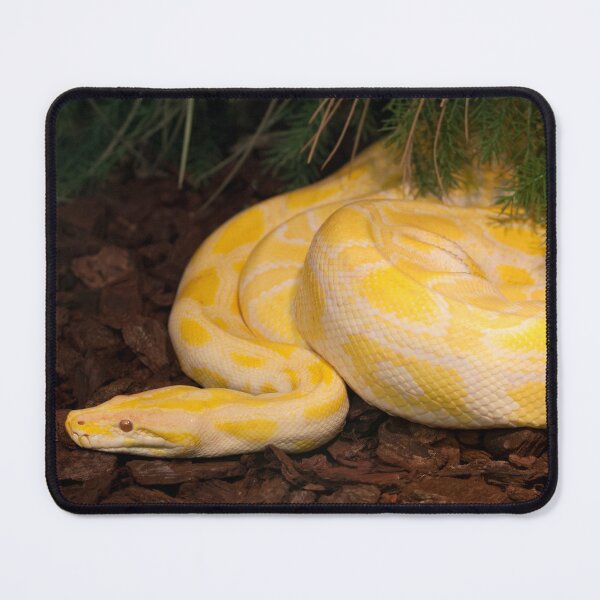 Item preview, Yellow Burmese Python designed and sold by Mythos57.