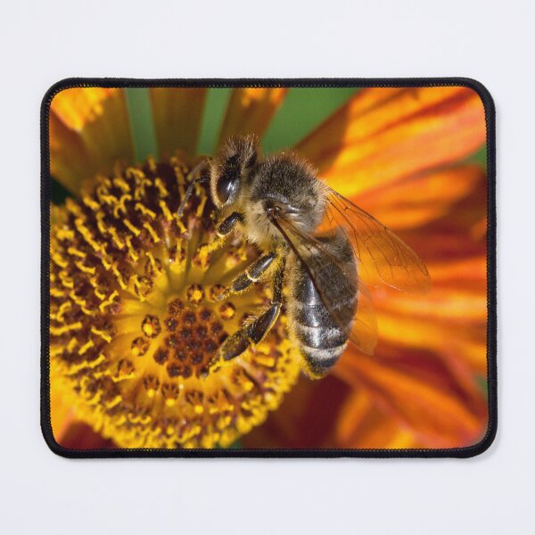 Item preview, Apis mellifera designed and sold by Mythos57.