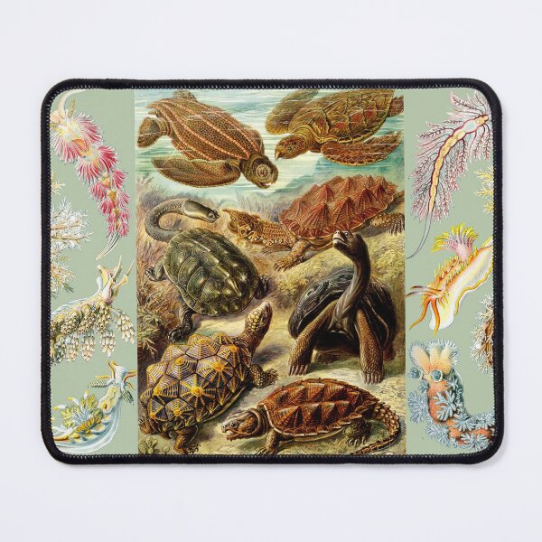 Item preview, OCEAN SEA LIFE SCENE SEA TURTLES ,MOLLUSCS,NUDIBRANCHIA,SEA SNAILS IN AQUA BLUE designed and sold by BulganLumini.