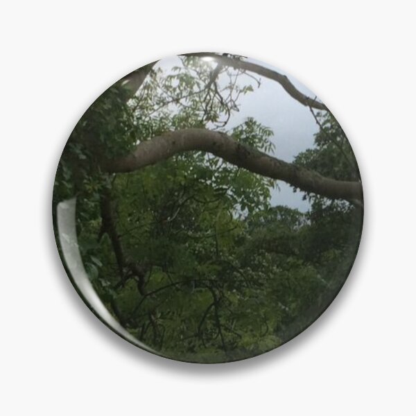 Item preview, trees photography designed and sold by Neon2.