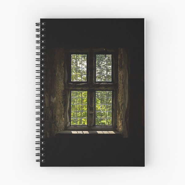 Item preview, An ancient window and dark shadows in an old building designed and sold by AlbertMi.