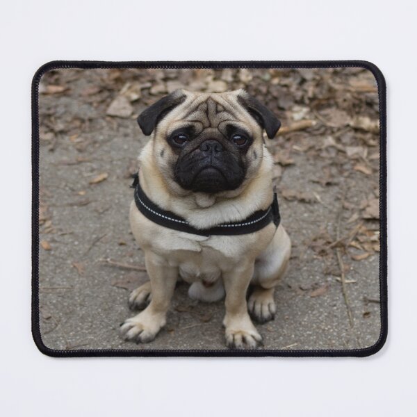 Item preview, Very  Serious Pug designed and sold by Mythos57.