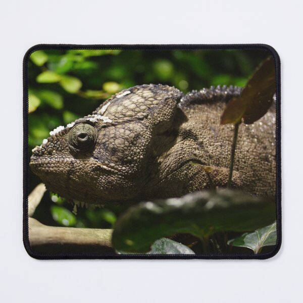 Item preview, Furcifer oustaleti designed and sold by Mythos57.