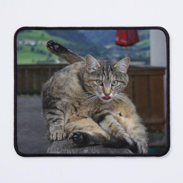 Item preview, Grooming Time designed and sold by Mythos57.