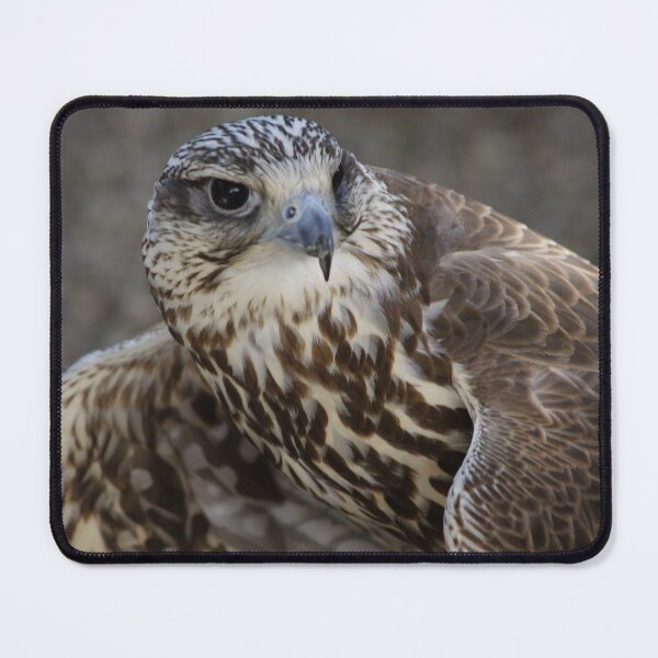 Item preview, Falco cherrug designed and sold by Mythos57.