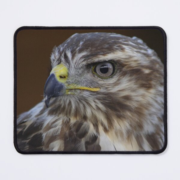Item preview, Buteo buteo designed and sold by Mythos57.