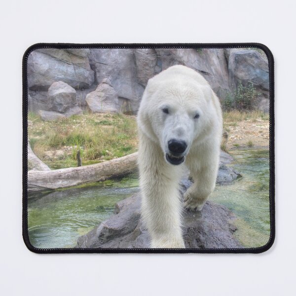 Item preview, Ursus maritimus designed and sold by Mythos57.